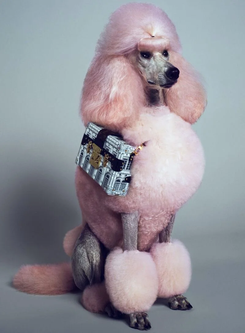 Emma chamberlain 2025 fuzzy coat